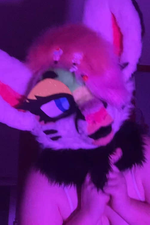 @Liger~Liger🐾🍉->FSC 26!!!