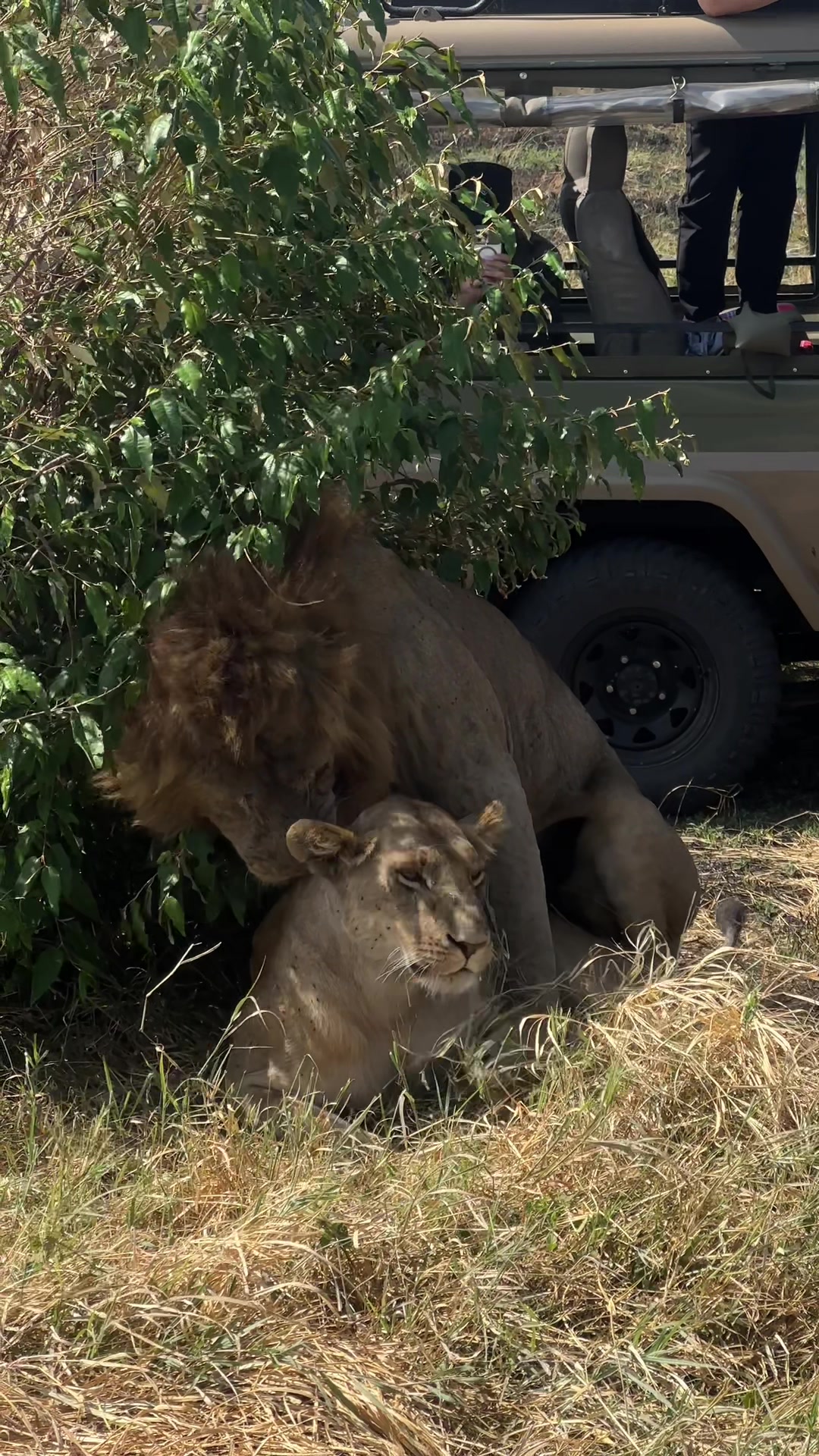 @Bountiful Safaris | Travel