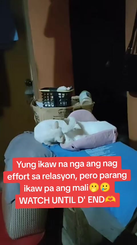 @Gaye👄