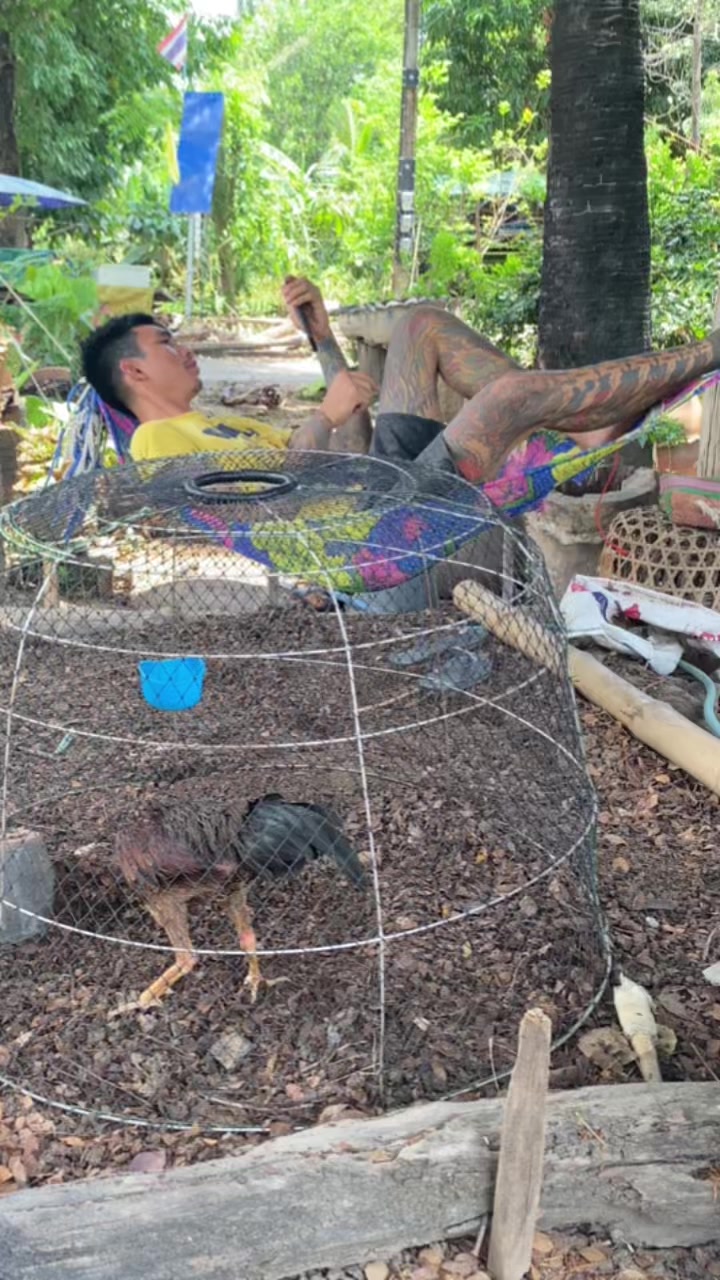 @ฟลุ๊คธนธรณ์(ซุ้ม.ส.เพิ่มพูล)