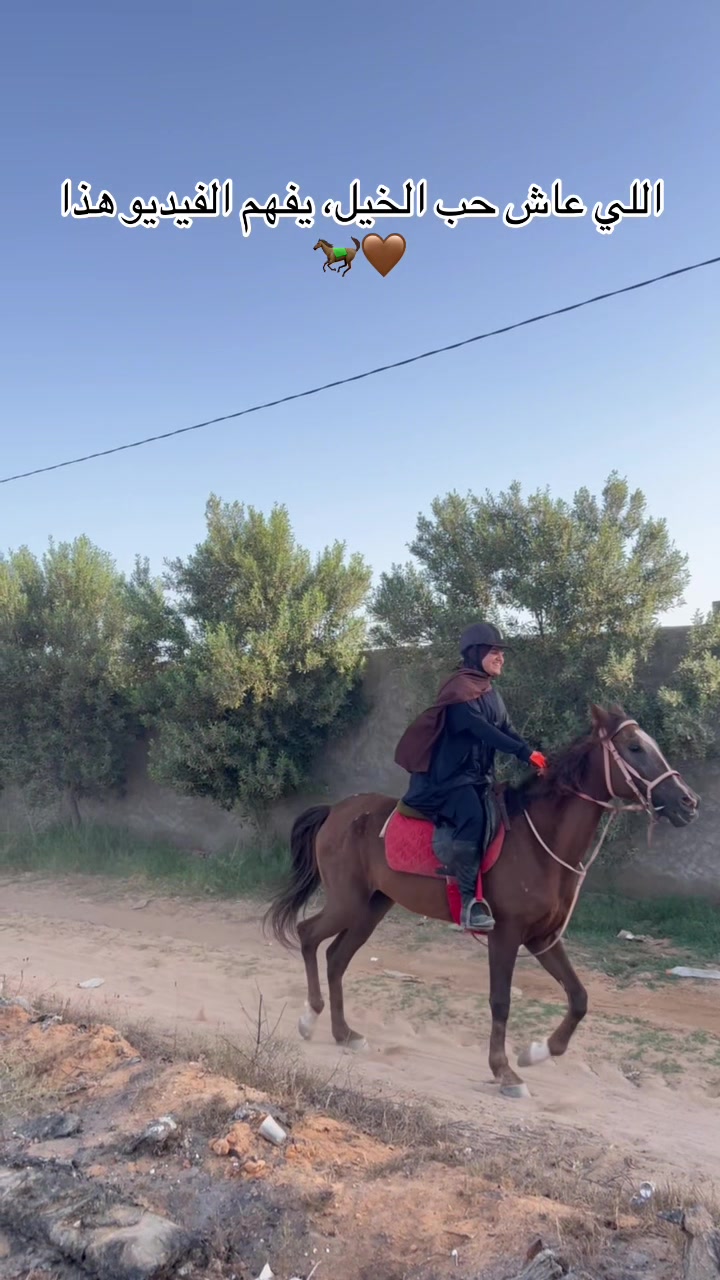 @Feres Ben Amor 🏇