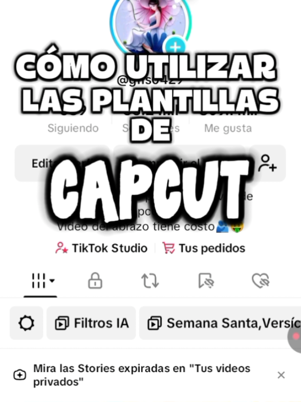 @GRICHEBELLA -PLANTILLAS CAPCUT
