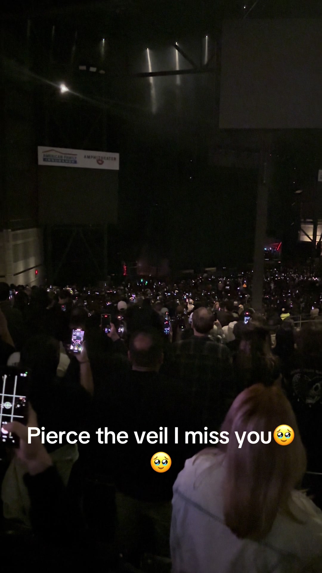@adam 🐾