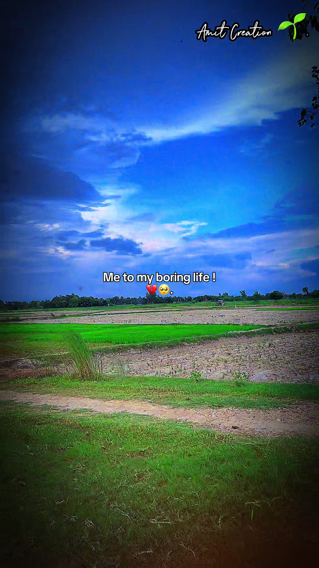 @Roshan Sarraf