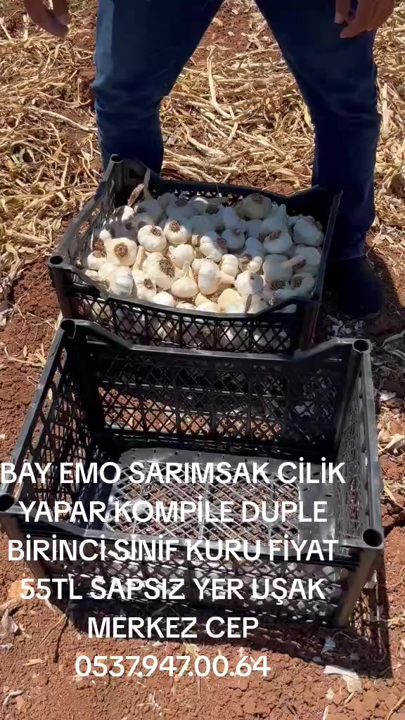 @Emrah gezgiç