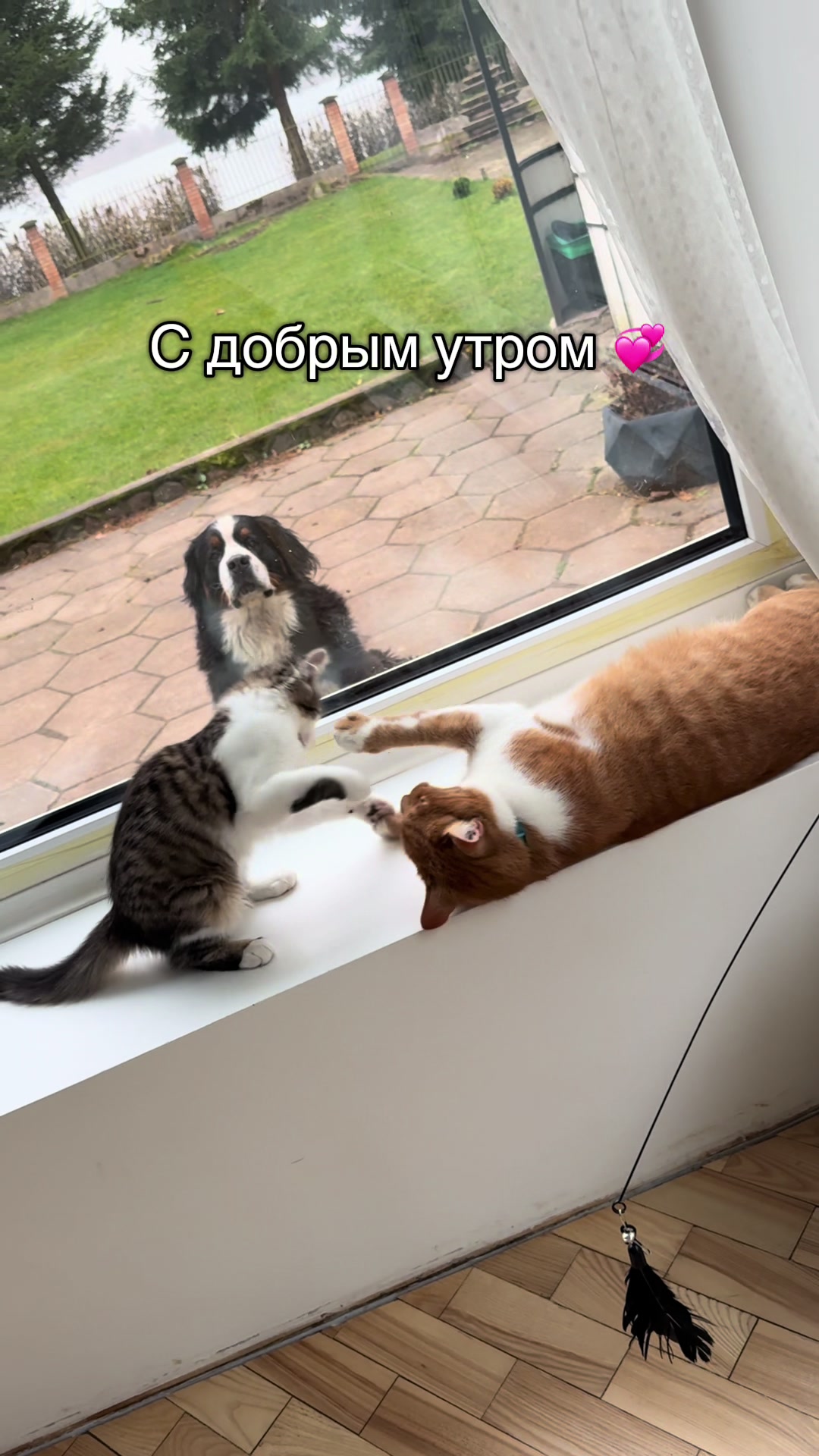 @Nastya 👱🏽♀️