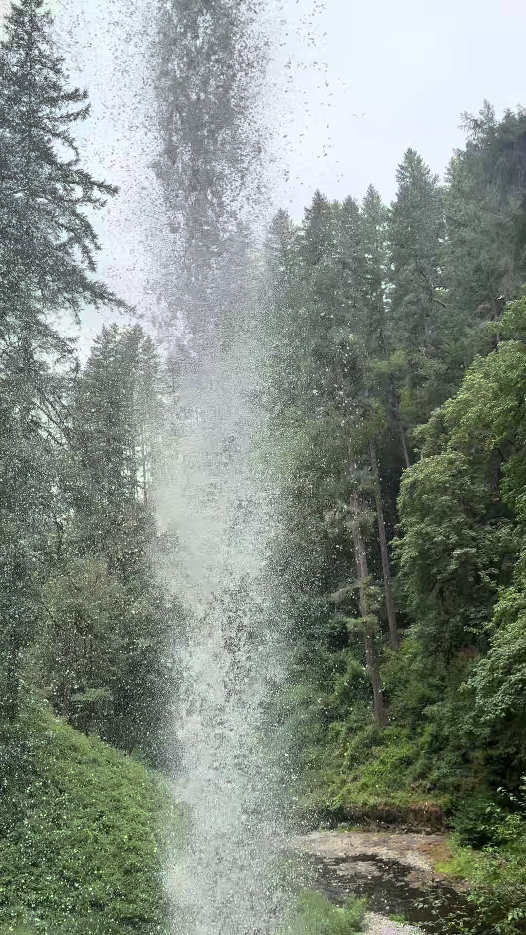 @wildernesswithangela