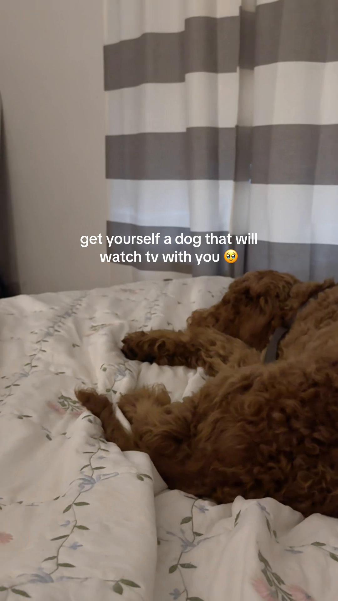 @truly.nev