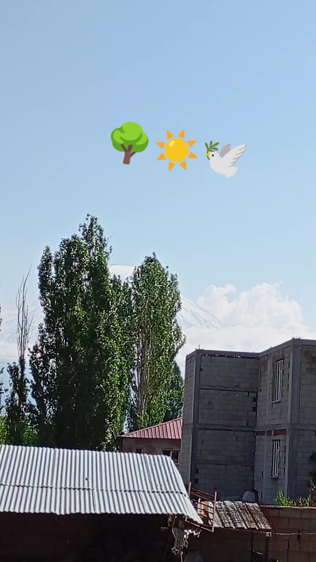 @bazidli adem04