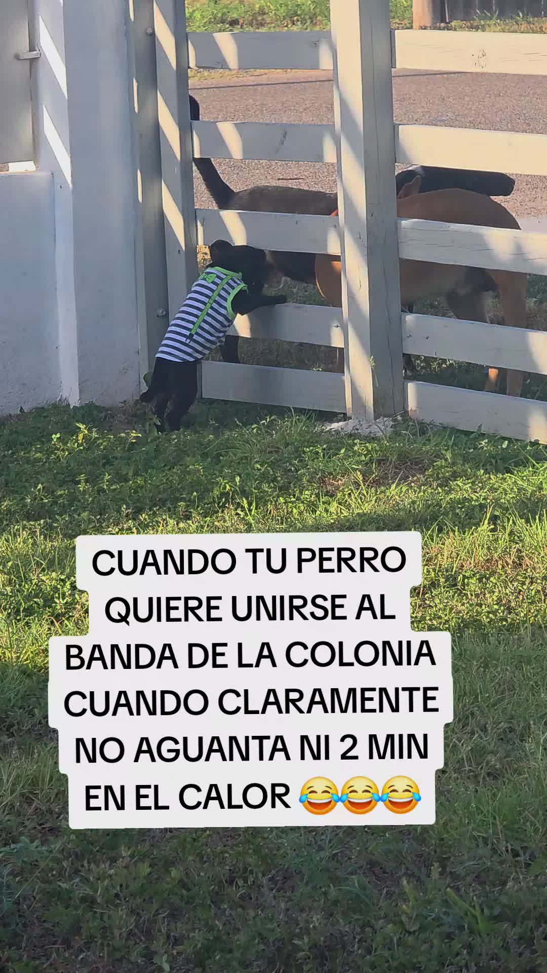 @Guadalupe Ovalle