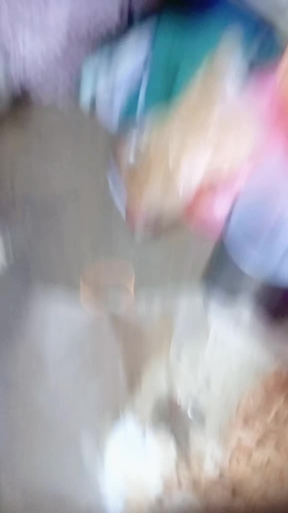 @lia