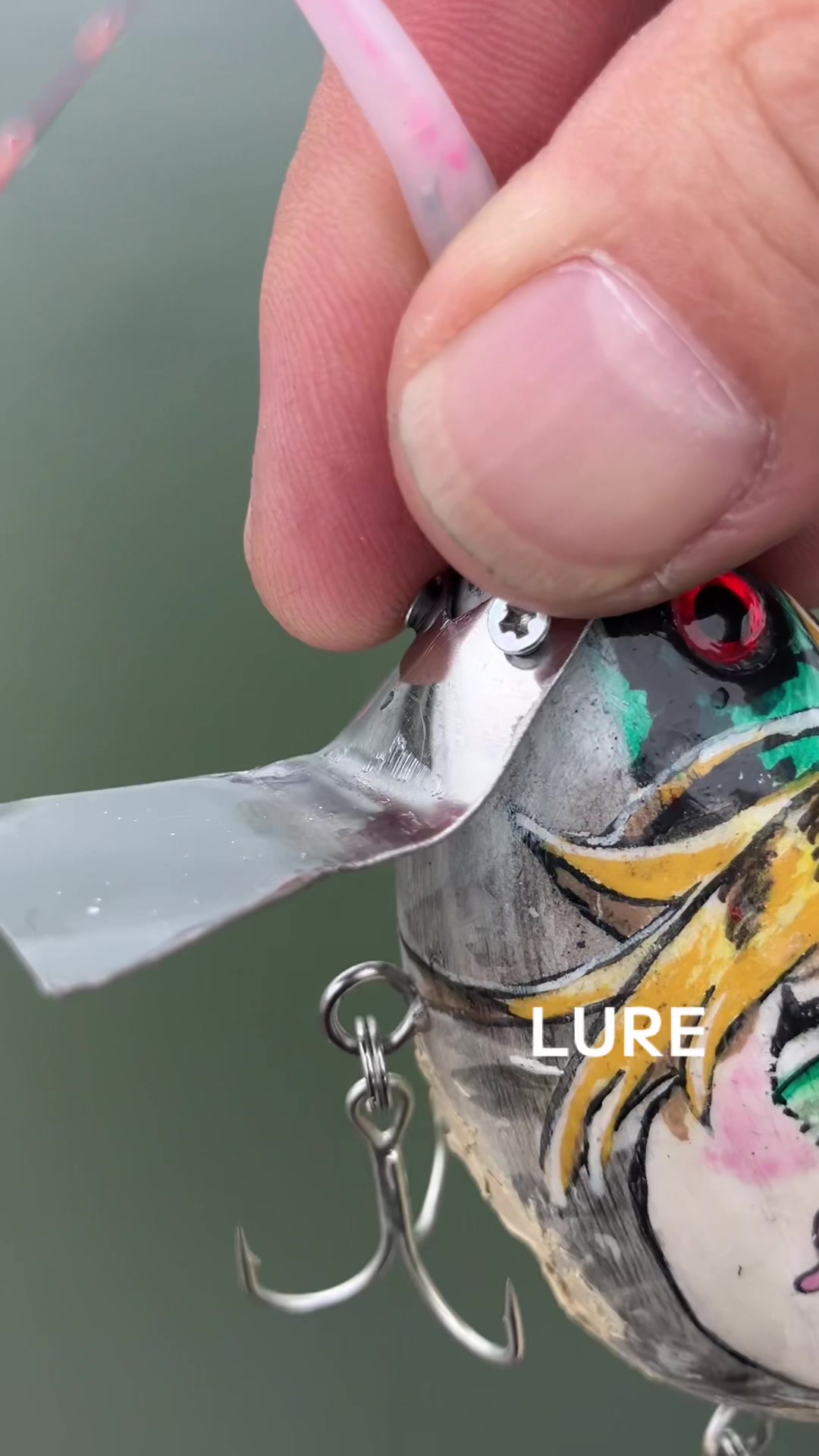 @rock.a.billy_lures