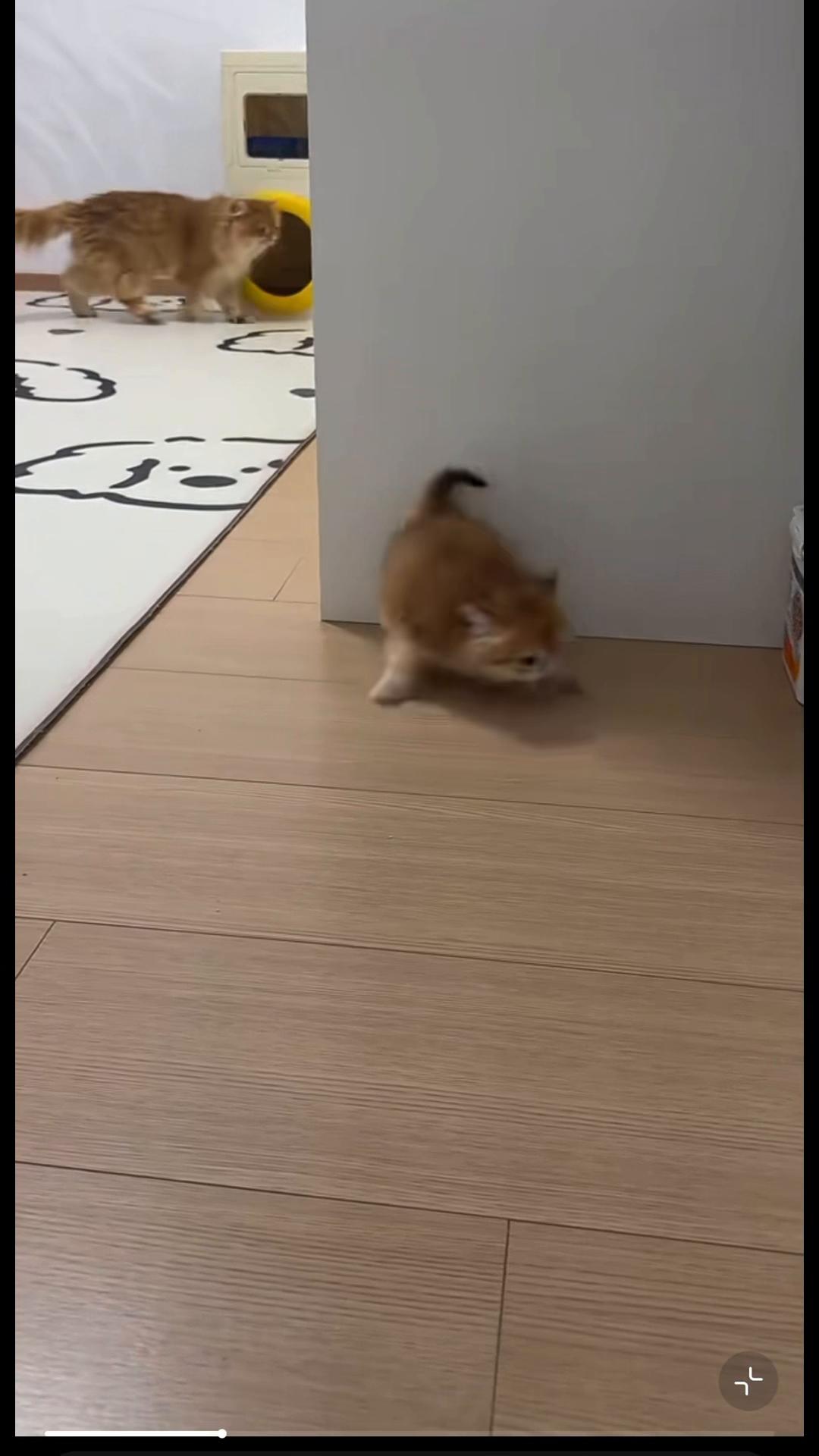 @My Daily Dose of Aww
