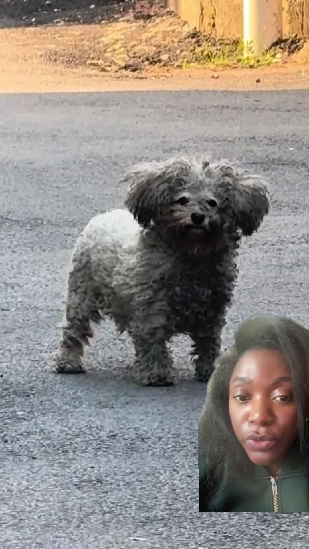@D_talk33