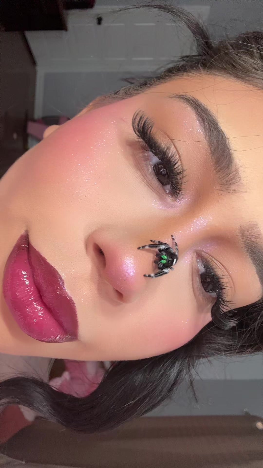 @harleybaby