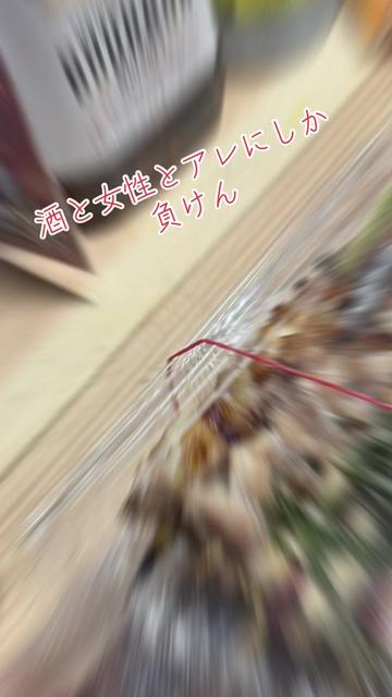 @i.s.4.4.4