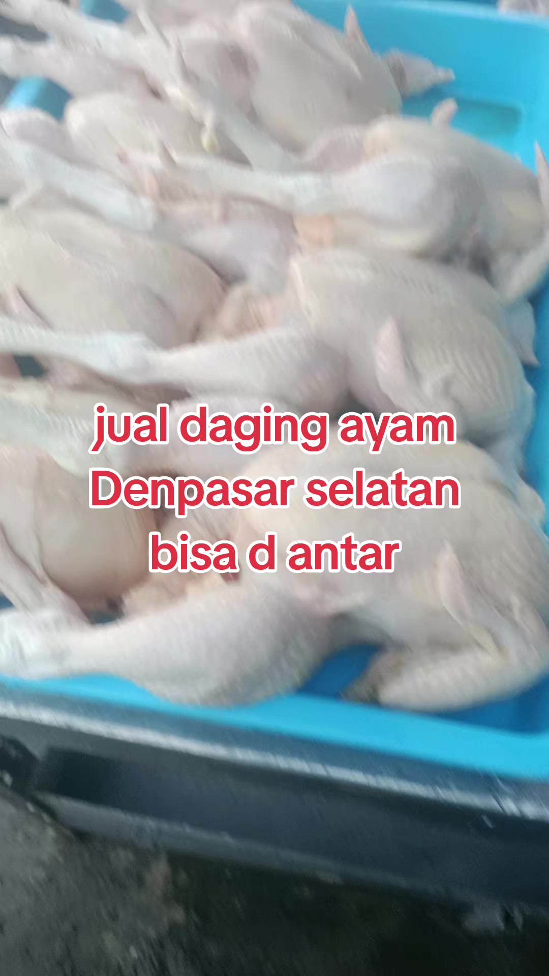 @nissaaja79