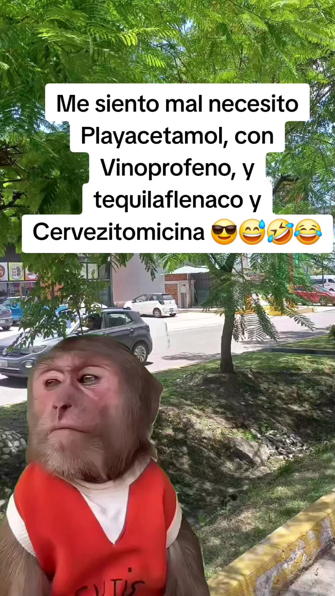 @🌹la Güera🕊🫀⚘️