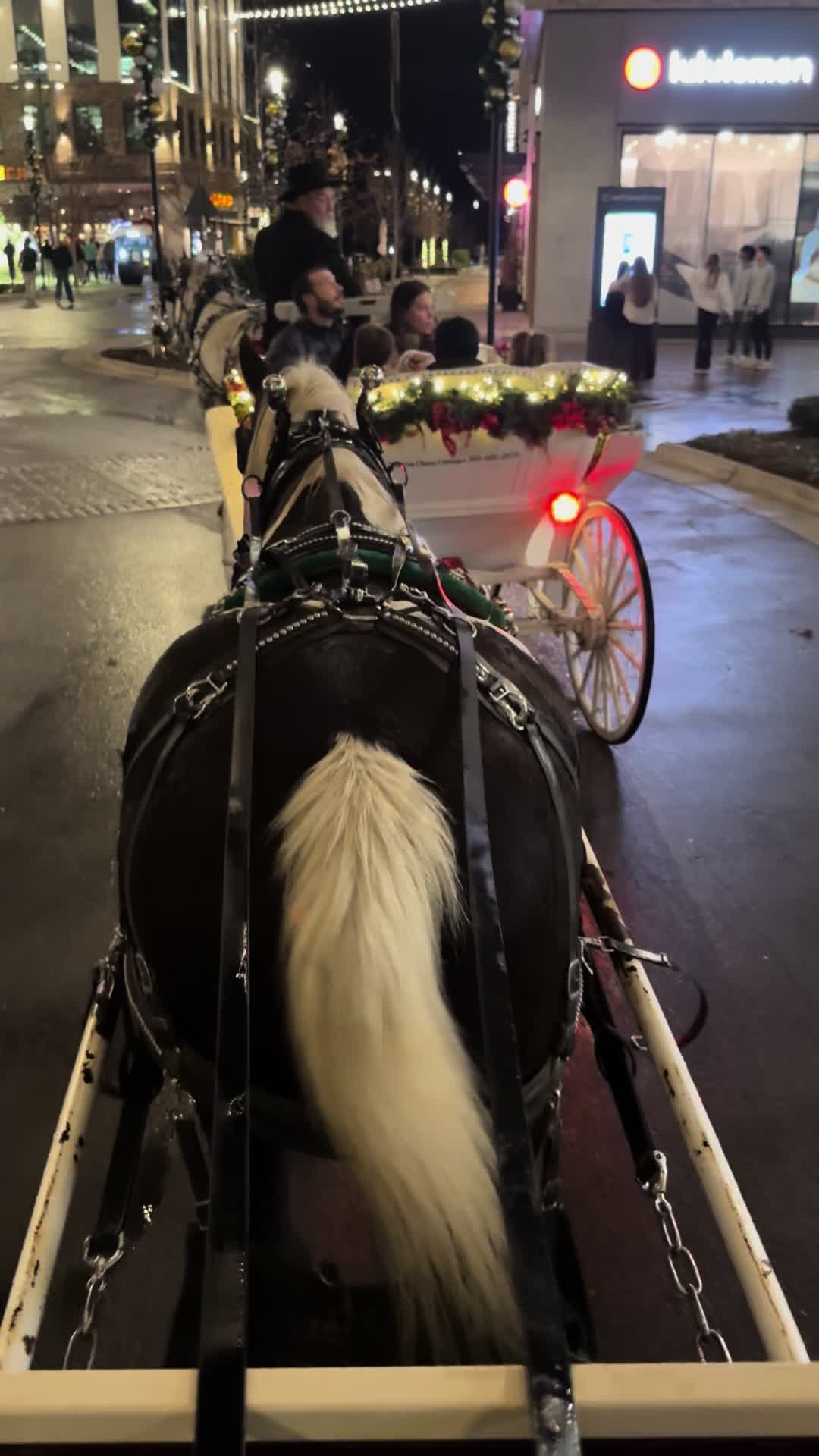 @southerncharmcarriages