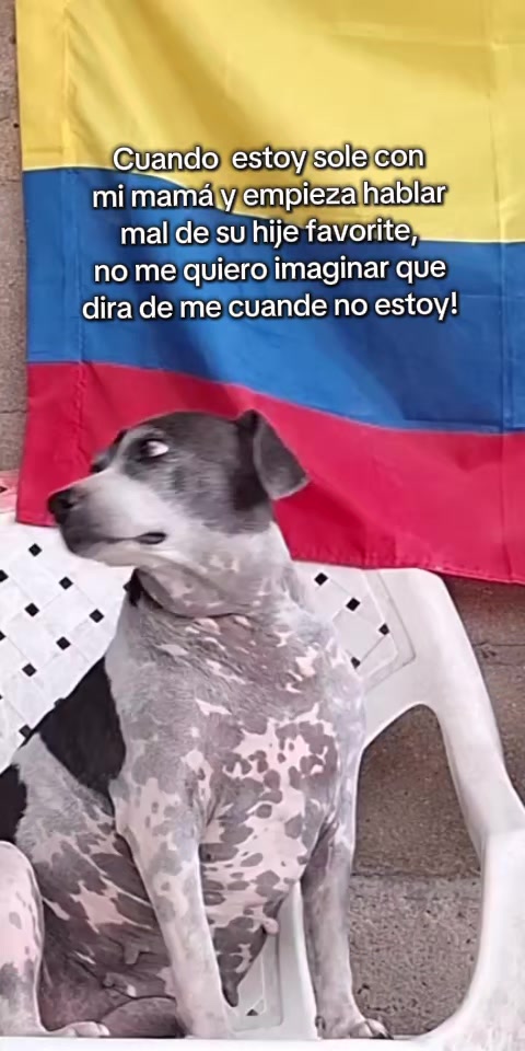 @MANCHAS 0714 OFICIAL