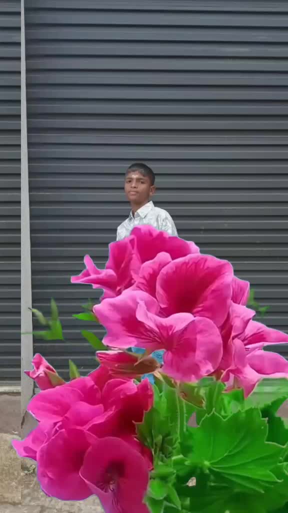 @user3256162627404You
