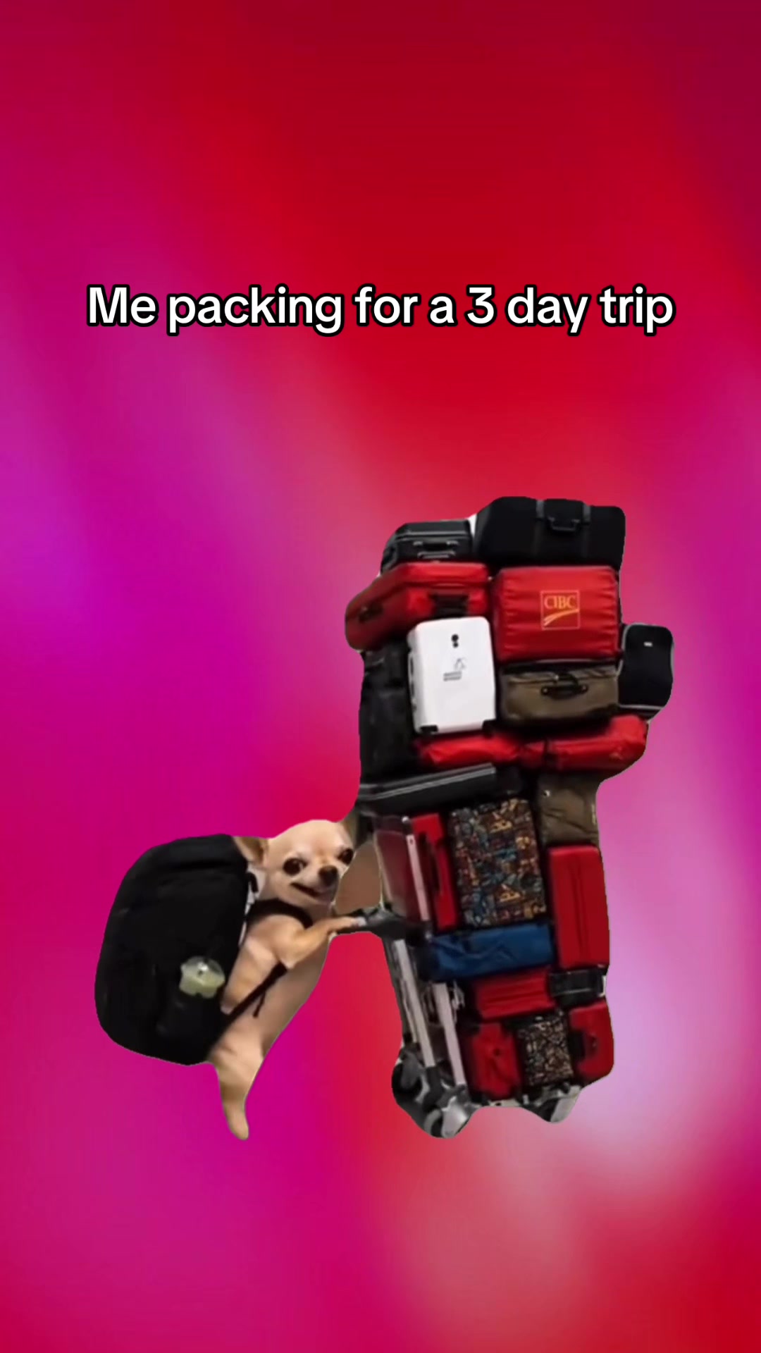 @𝓐𝓵𝓲𝓬𝓲𝓪ᥫ᭡