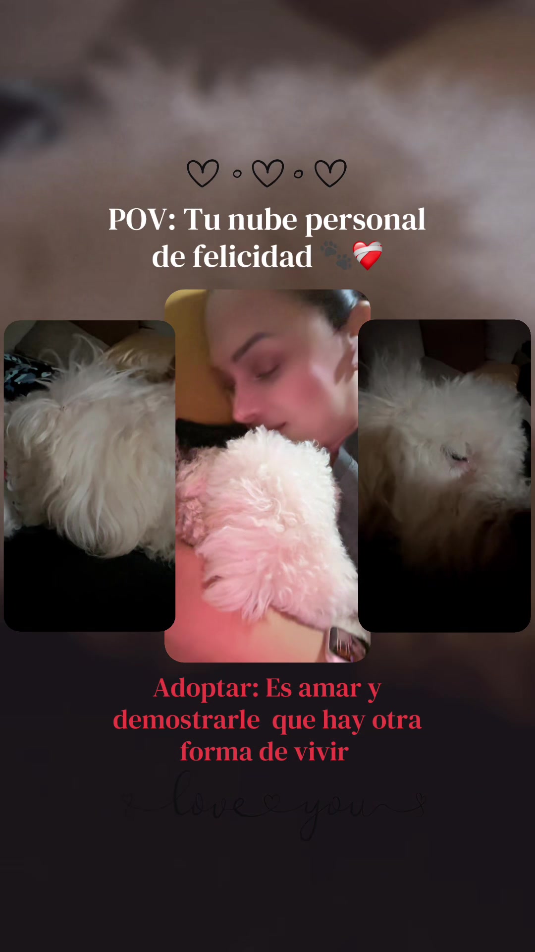 @Nan Ovando