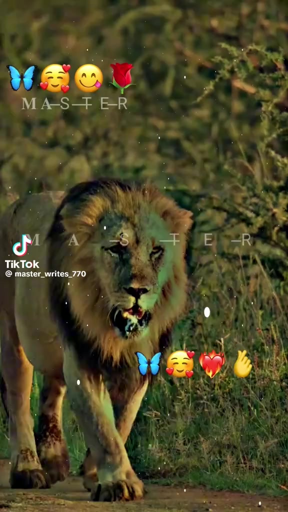 @QalabAbbas