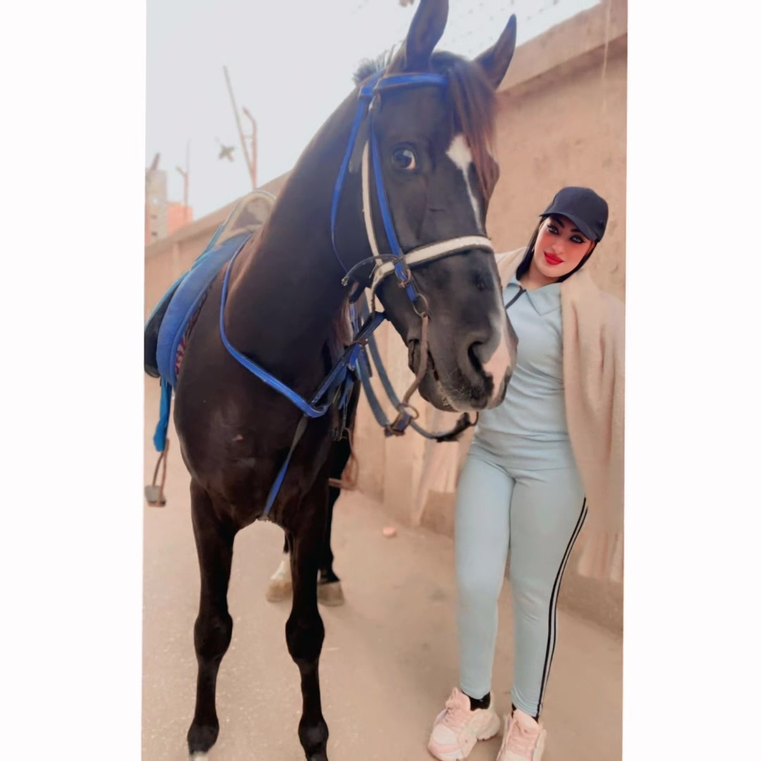 @الكابتن عبير🐎🥇🏆