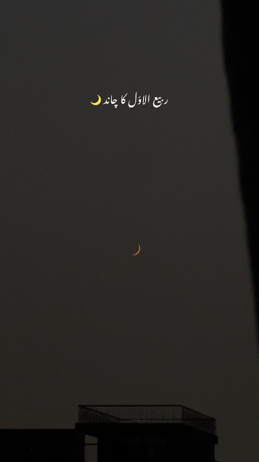 @🚩