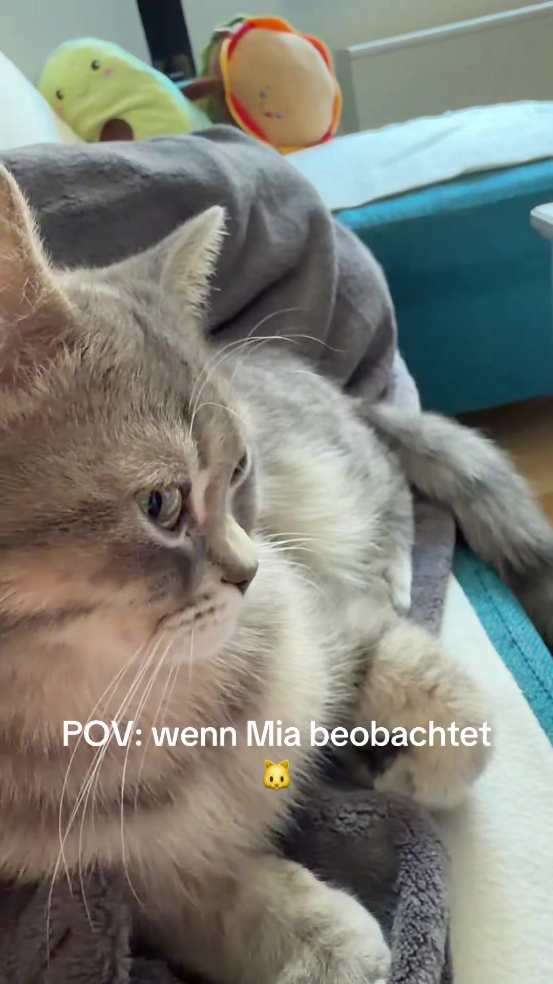 @miabalou.daily