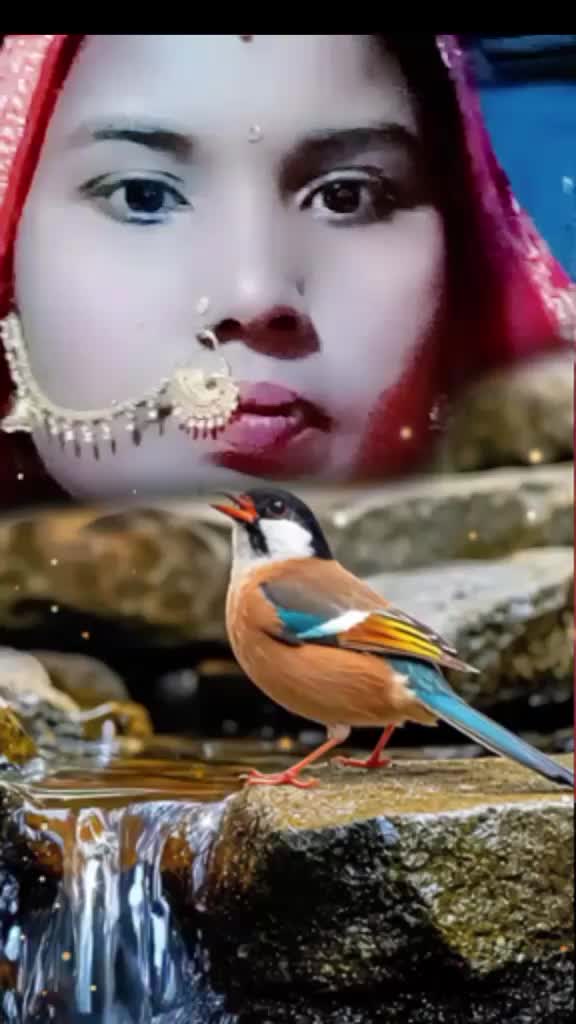 @Ritik Ram