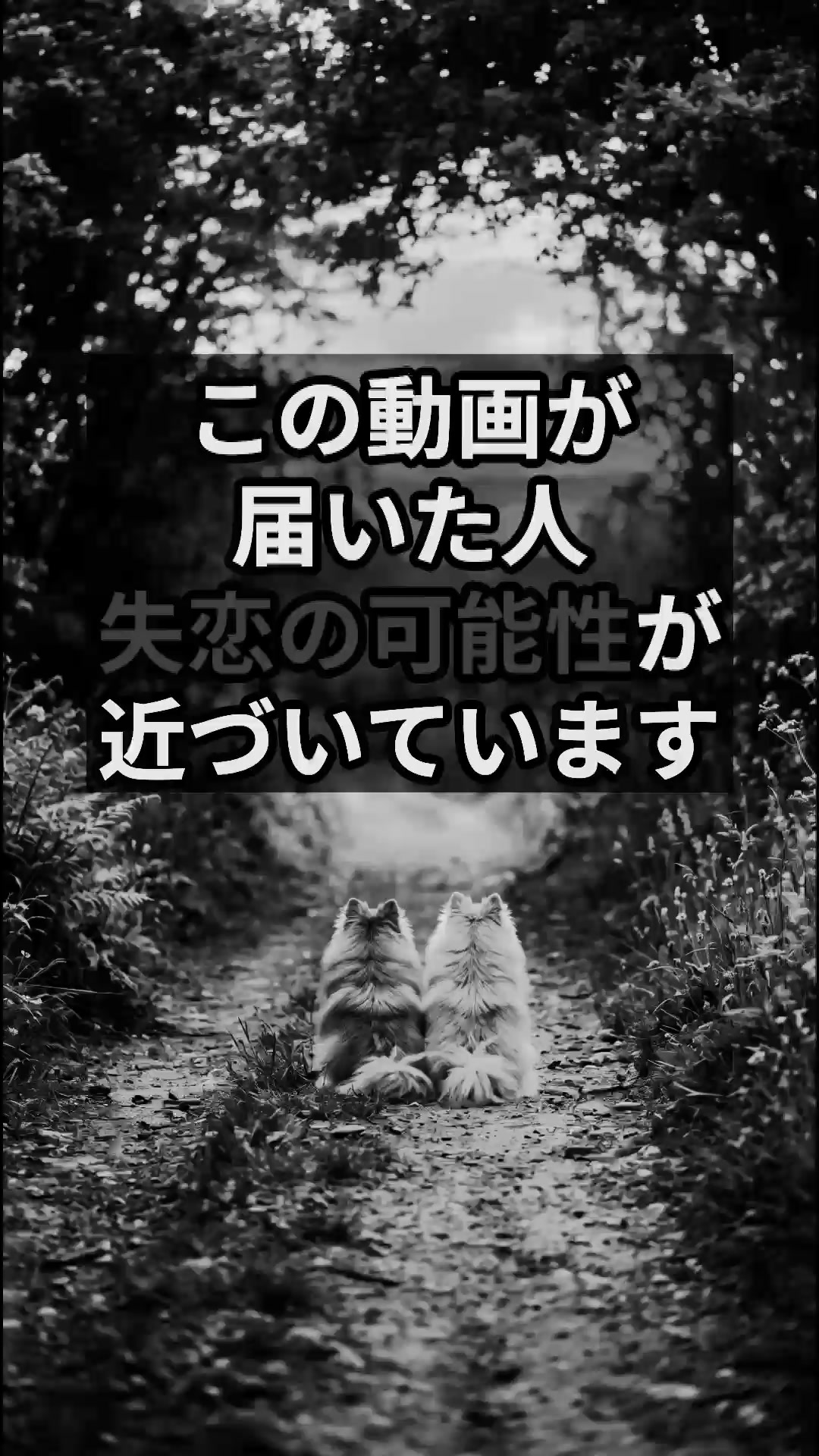 @マコト【本格占い・霊視占い】