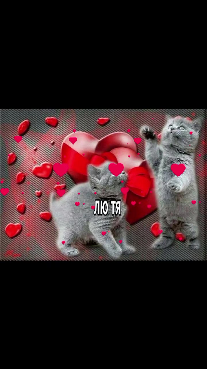 @кощик😛