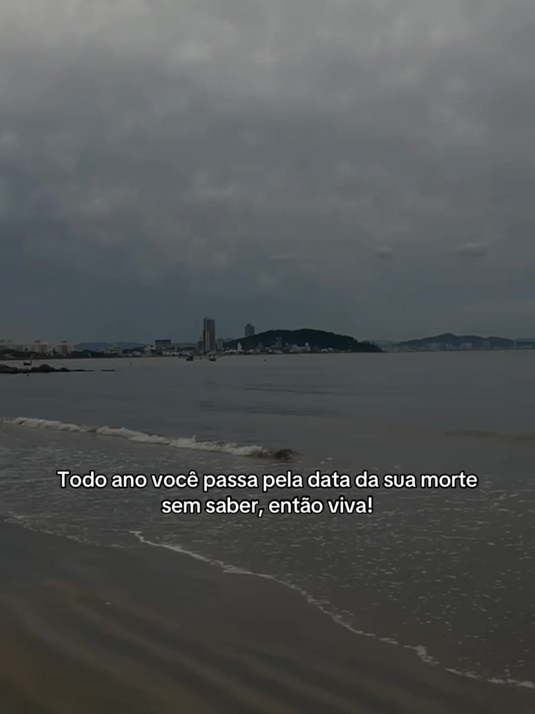@kauane castanho🐼