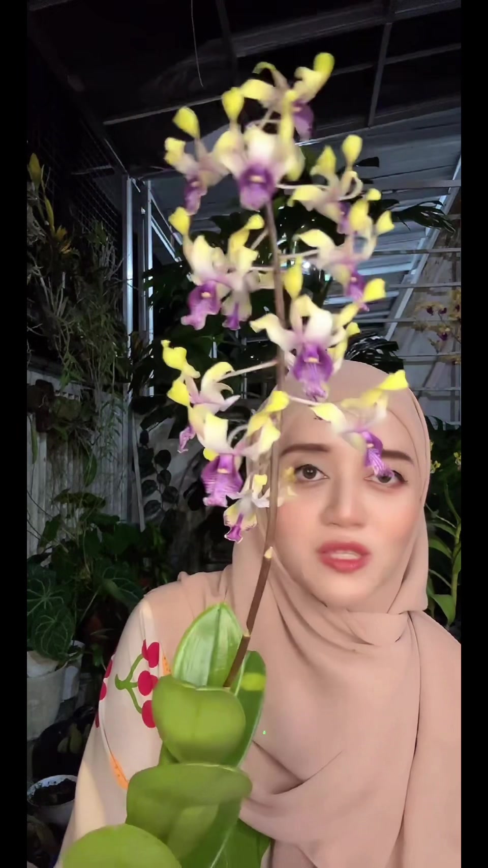 @Anggina Orchid