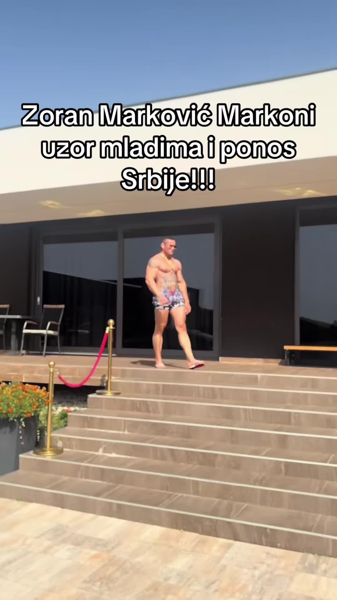 @balkan_bodybuilding