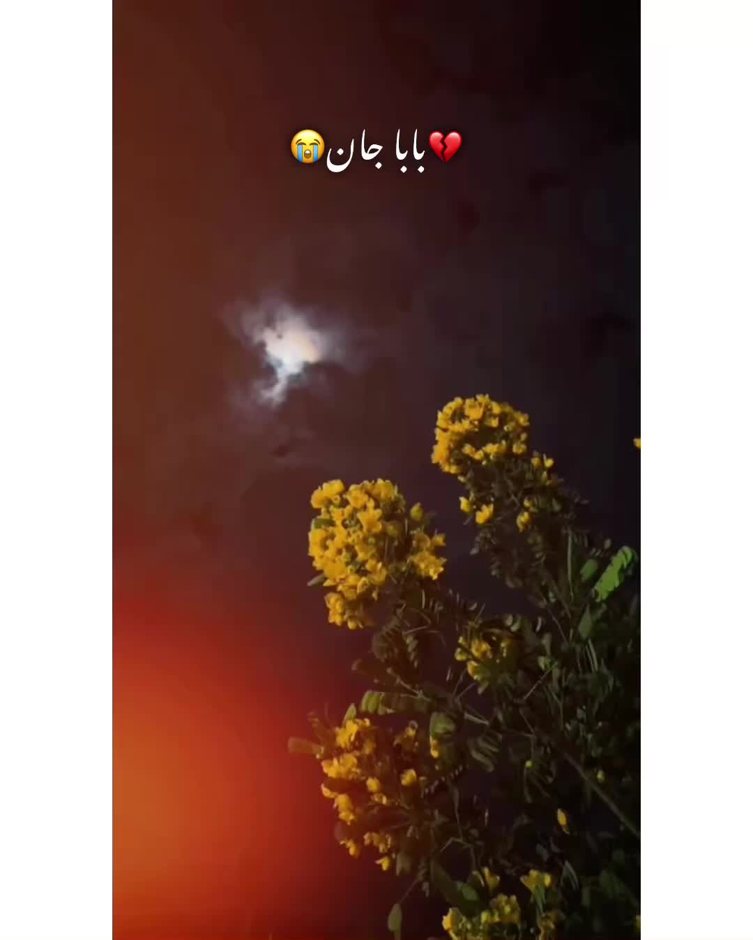 @⚜️𝐊𝐇𝐎𝐊𝐇𝐀𝐑❤️🩹