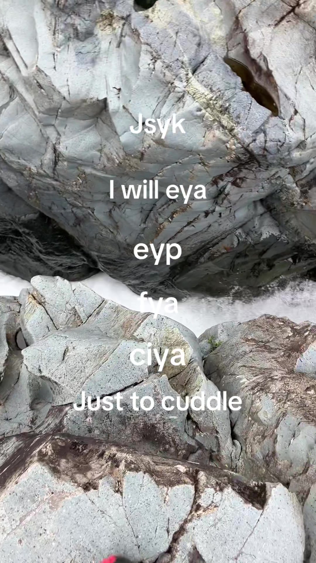 @hi