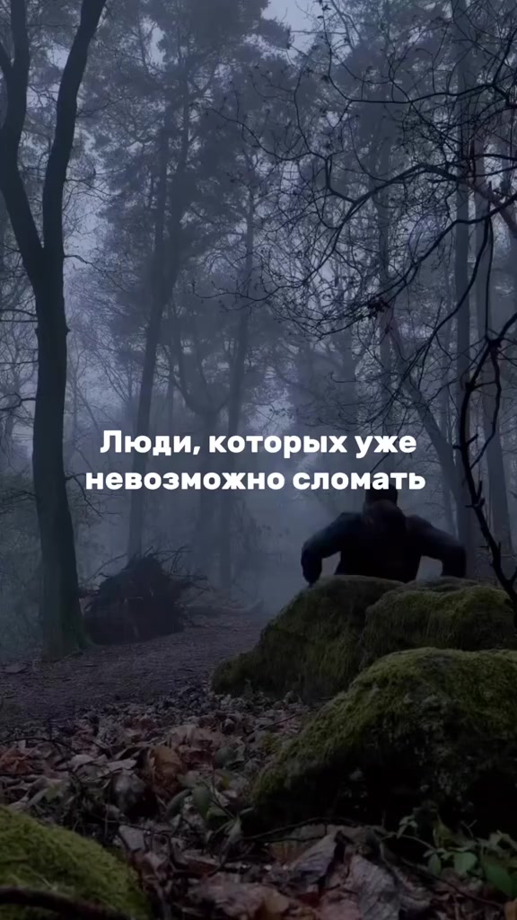 @Лиса Котова