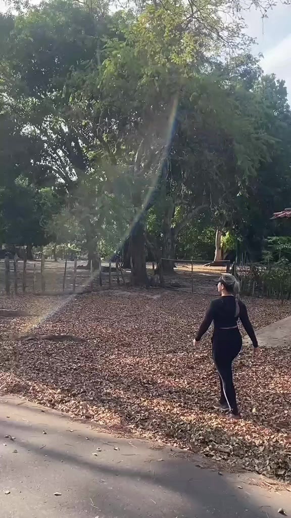 @⚕️DINA ⚕️8/concluído,Fisio