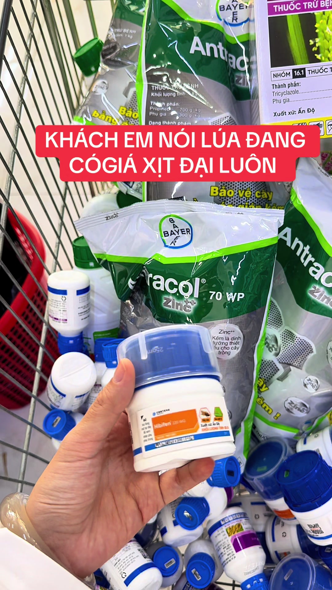 @THÍCH TRỒNG CÂY 🌱