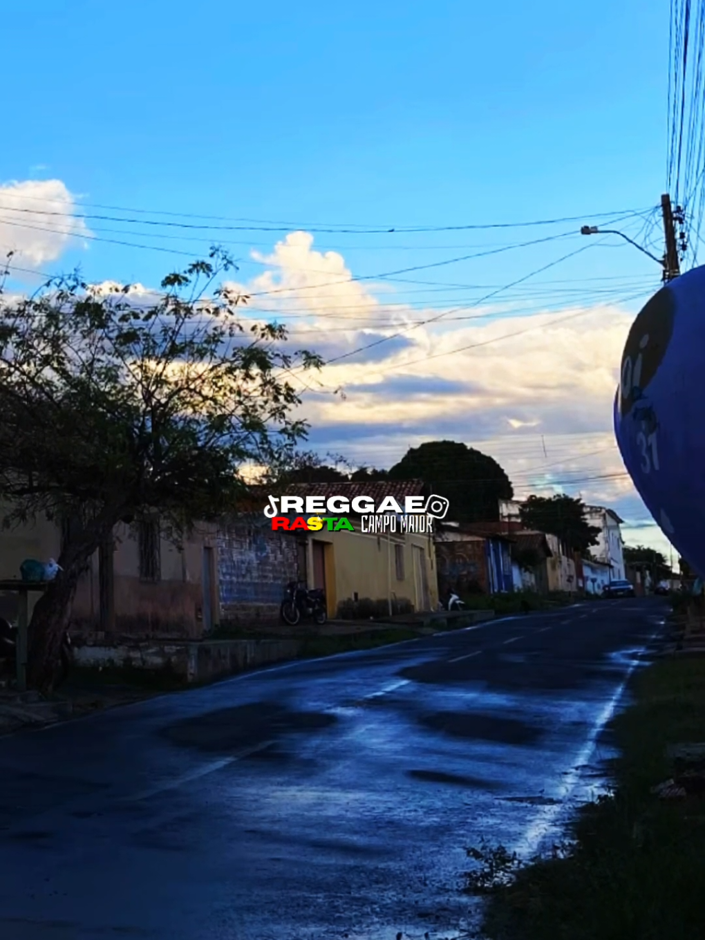 @REGGAE RASTA CM