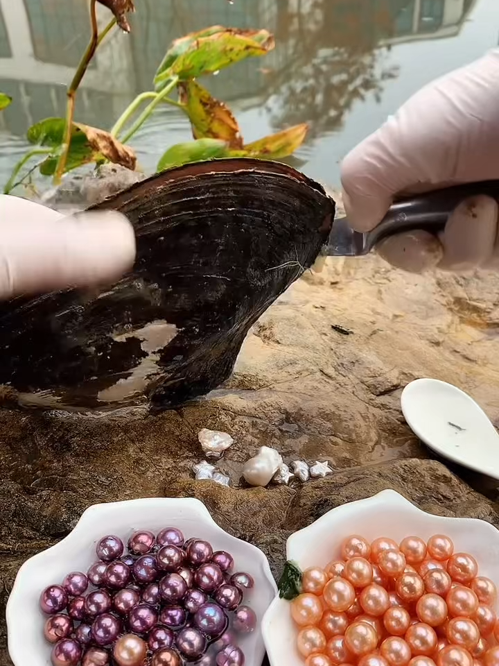 @Jewel Enigma