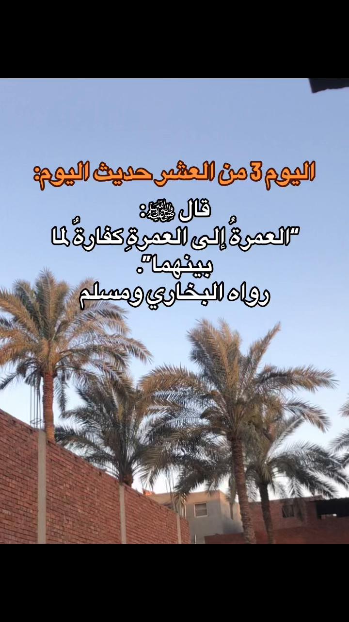 @﮼محمد | 1430هہ