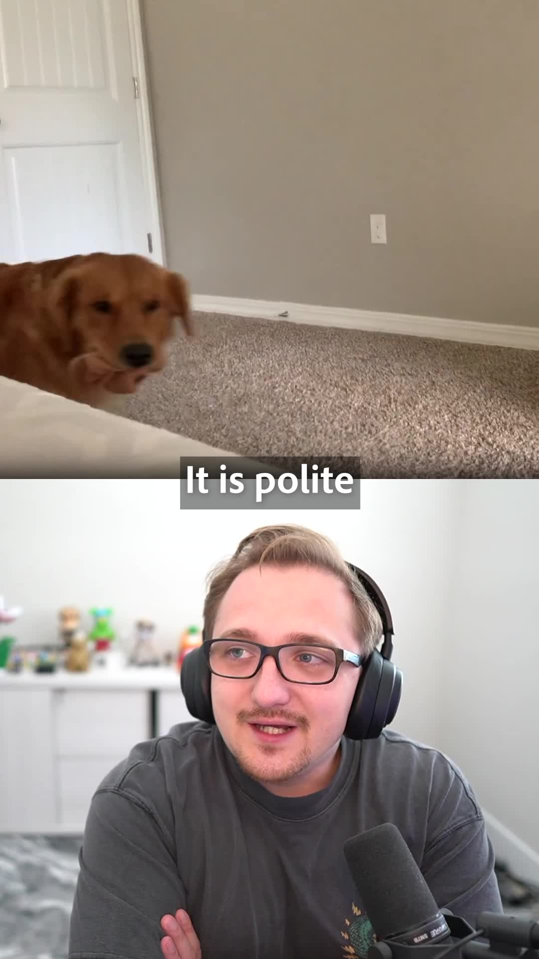 @RealJonahBlake