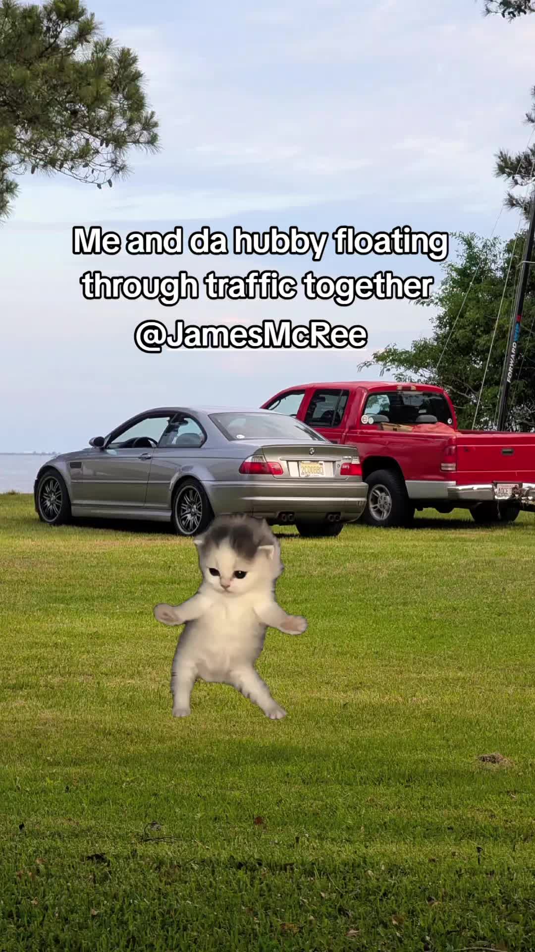 @wiredsquirrel13