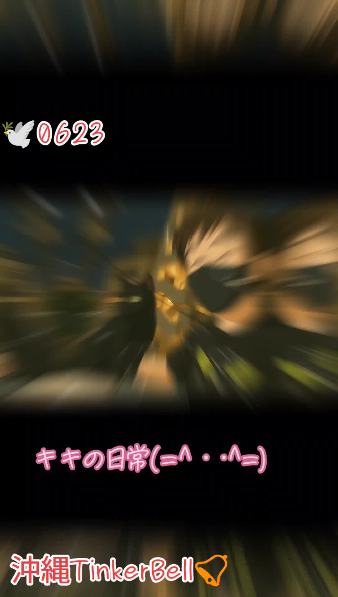 @沖縄セクキャバティンカーベル