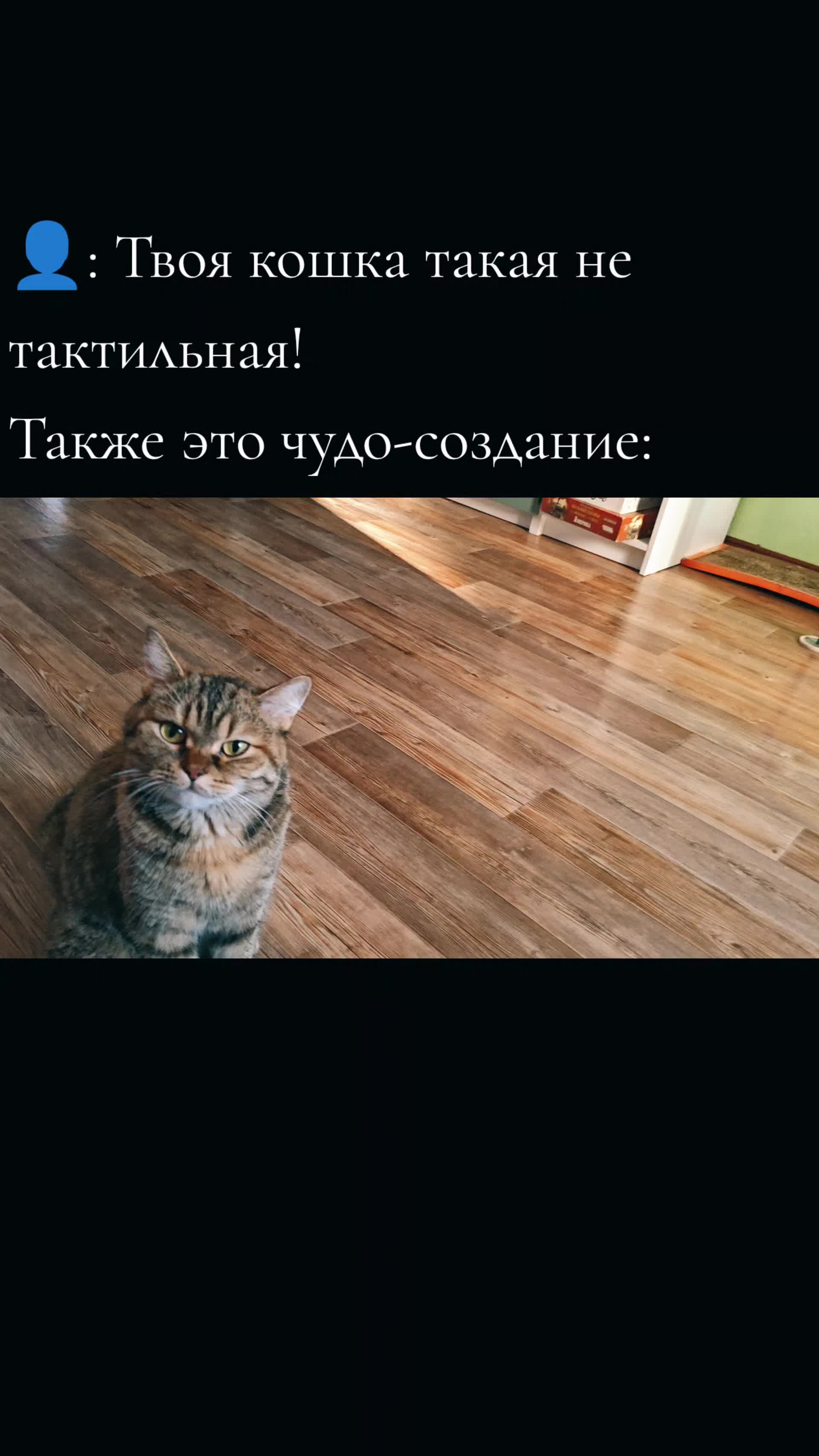 @𝑳𝒊𝒛𝒂