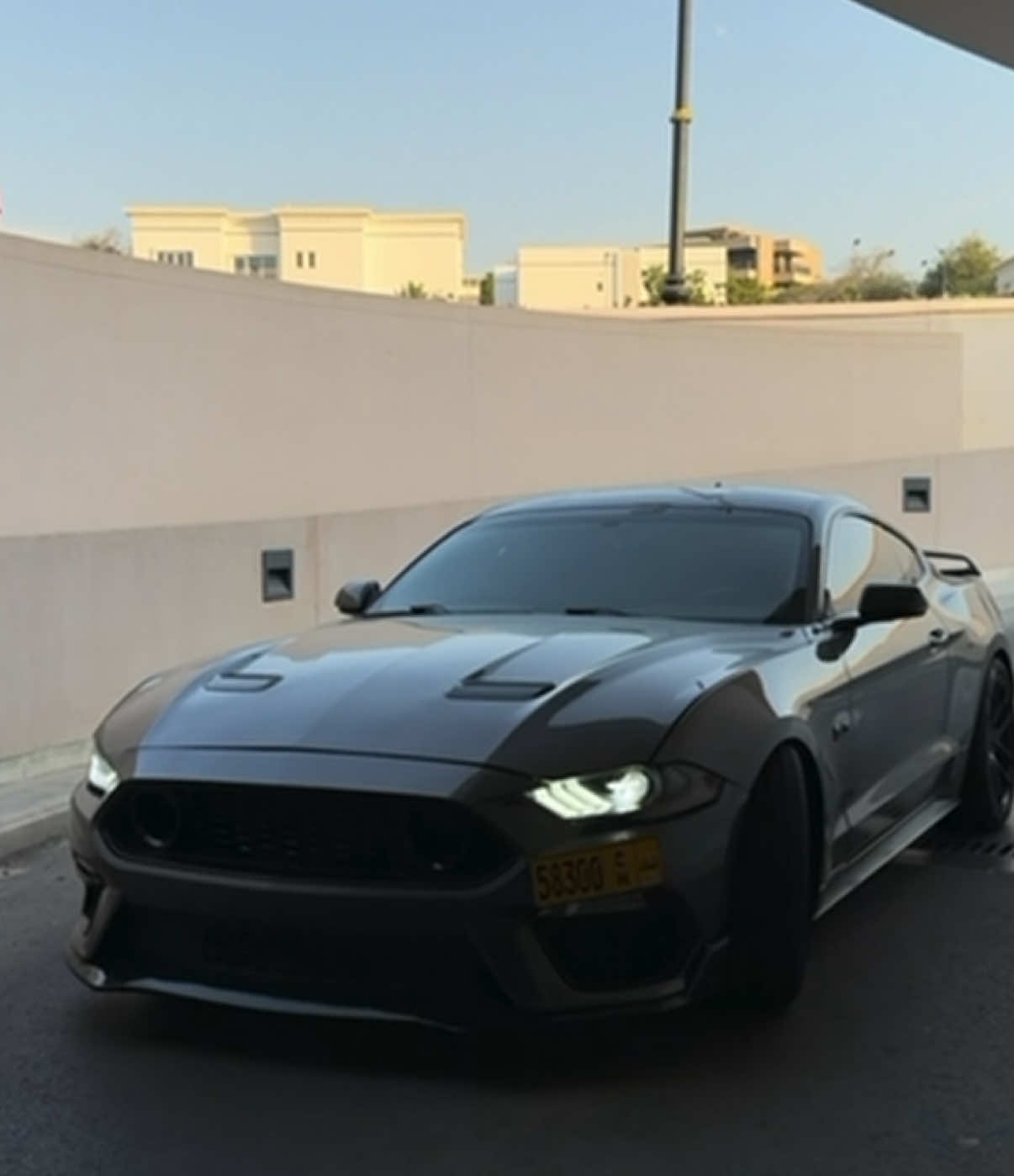 @Hamood ๐